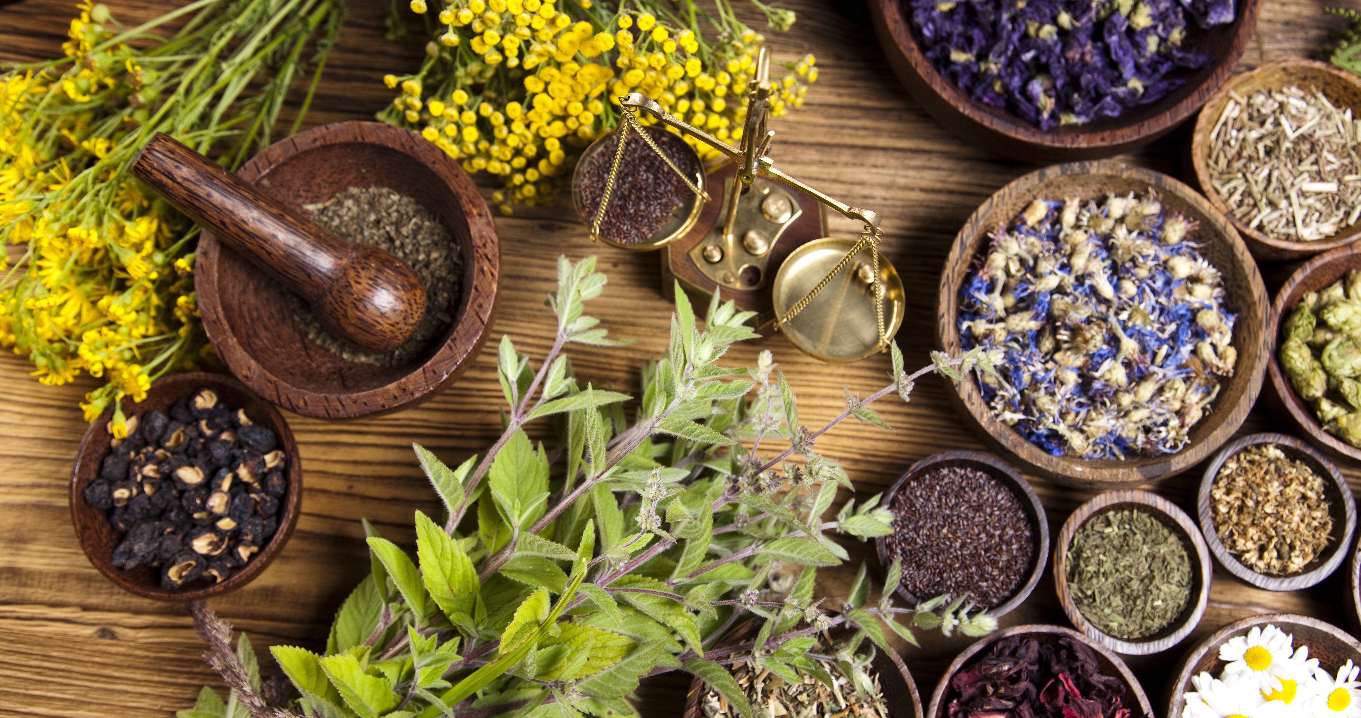 Herbs 🌿 & sage &   incensio