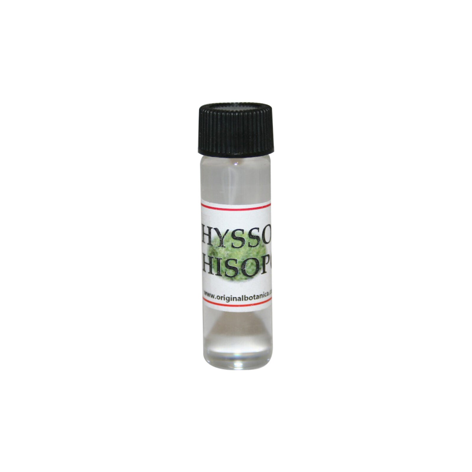 Hyssop Oil Check My Vibes